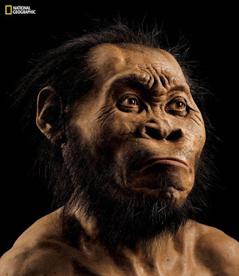 Scientists identify a new ancient ancestor - The Archaeology News Network