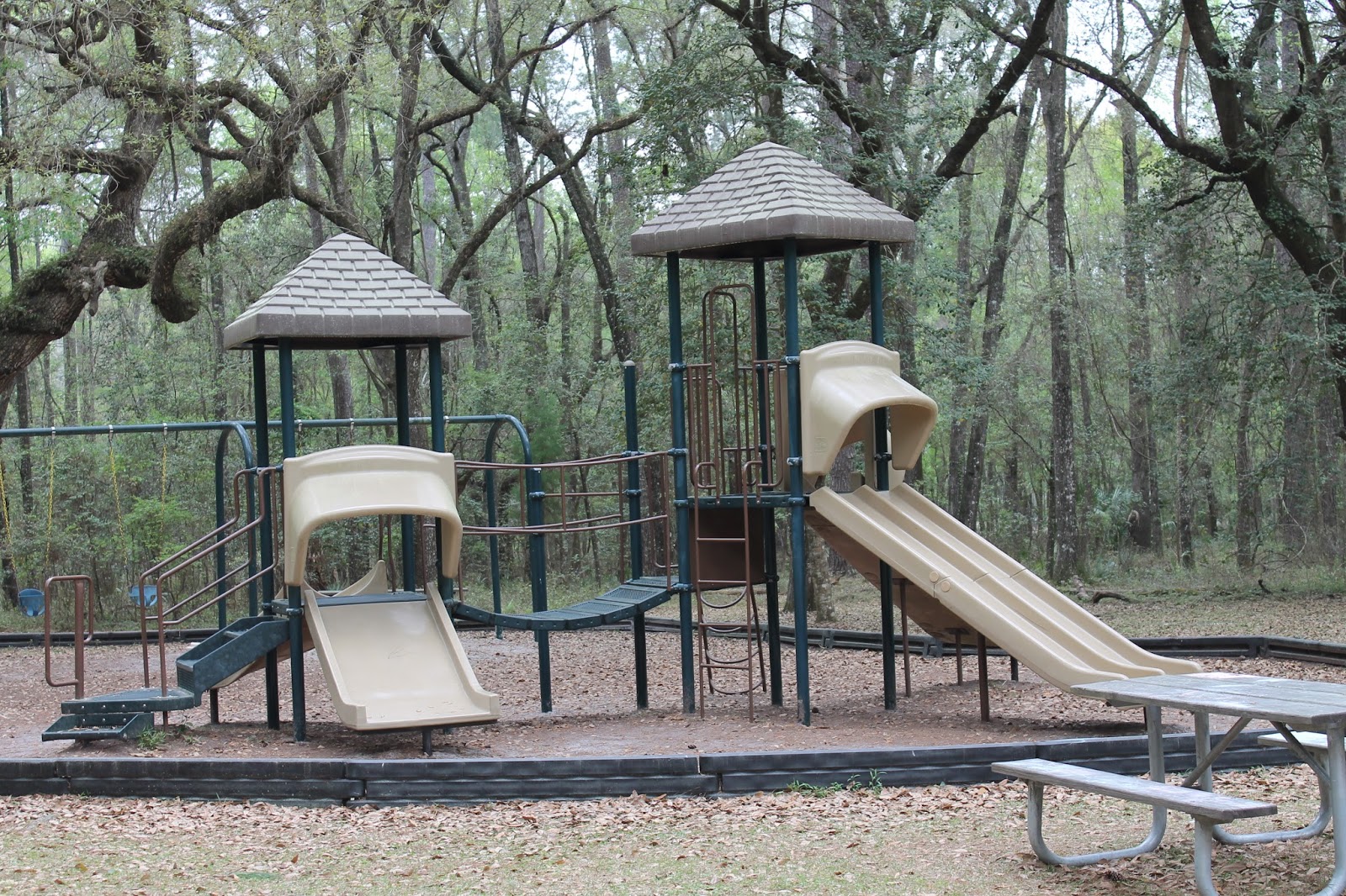 North Florida State Parks Suwanee River State Park