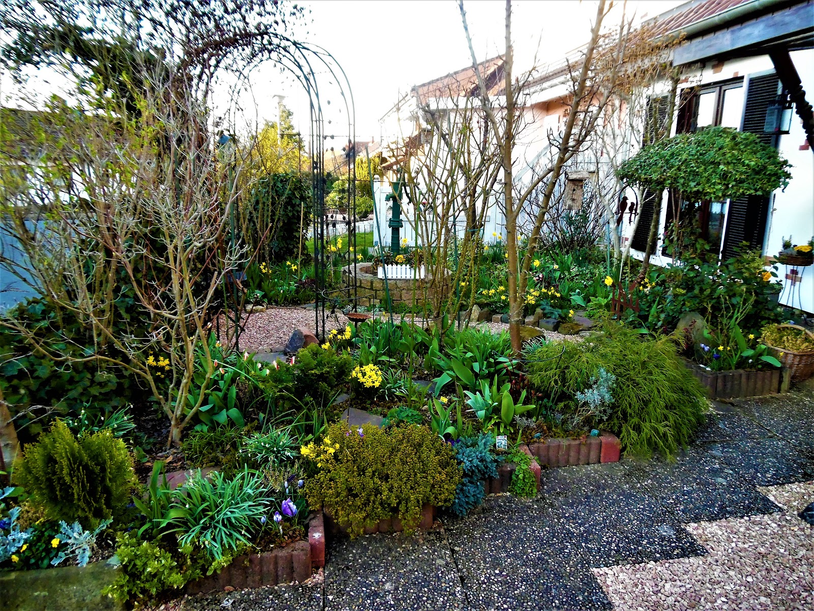 Heidis grüne Ecke: Vorher-Nachher unser Vorgarten im Wandel VII