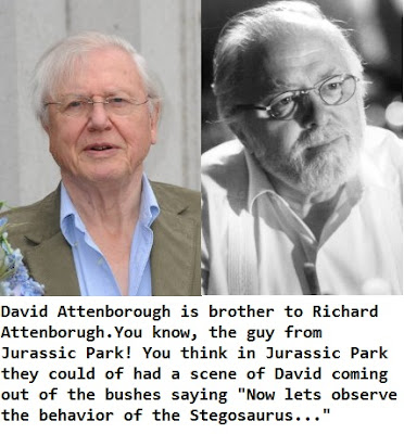 My Magical, Uneventful, Broke, College Life: David Attenborough in