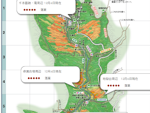   2015年關西(大阪+奈良)紅葉情報 請往  2015年關西紅葉情報+行程規劃   背包豬的2017年紅葉情報：  🍁  2017年日本紅葉最前線  🍁  2017年京都紅葉情報  🍁  2017年北海道紅葉情報    ----   關西(大阪+奈良)紅葉情報 2014...