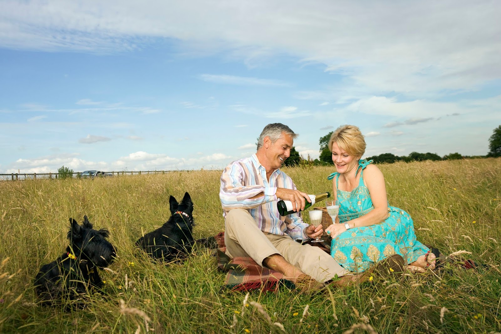 Allison Homes Blog Pack the perfect picnic