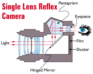 How Cameras Work ( Single-Lens Reflex) ~ PHOTOGRAPHER TIPS