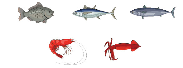 Ikan Konsumsi