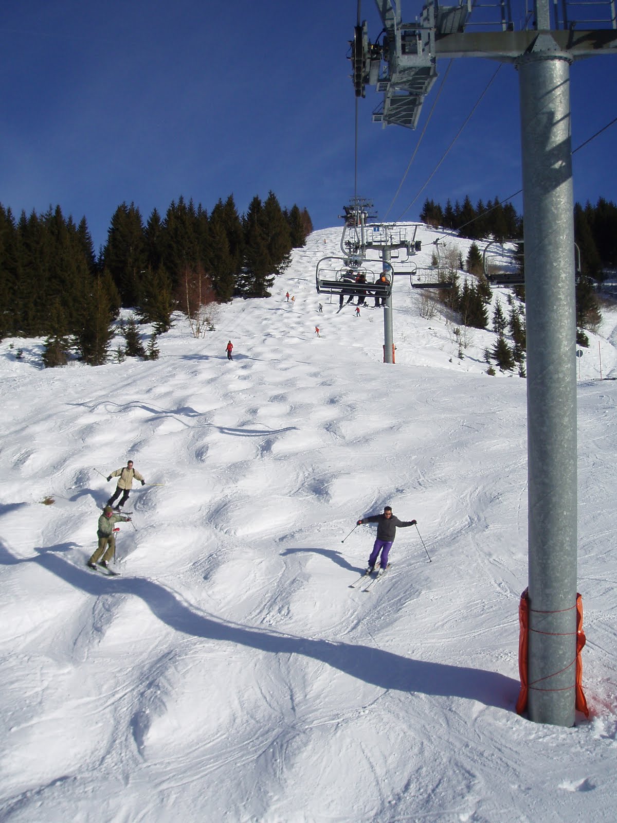 Ski Holidays in the Alps