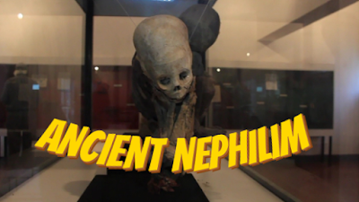 Ancient-Nephilim-and-the-secrets-of-the-museum-with-hidden-away-Giant-skeletons.