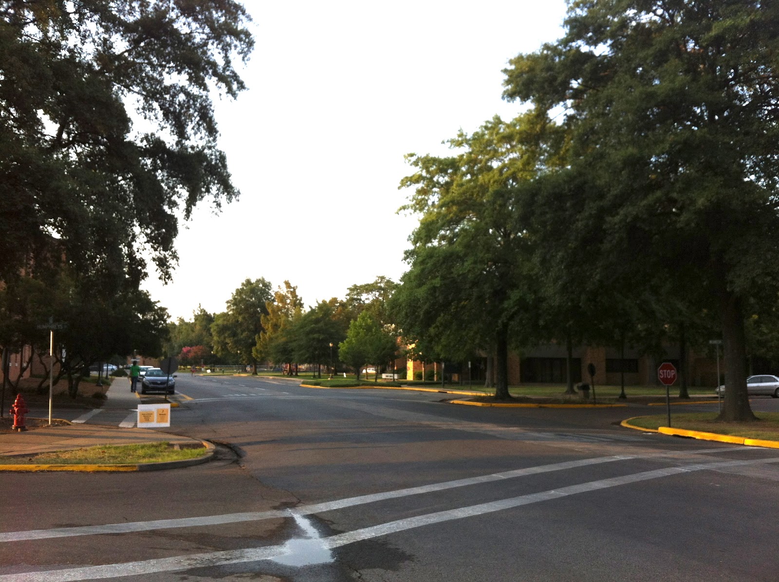 Life's New Adventure Photos of Delta State!