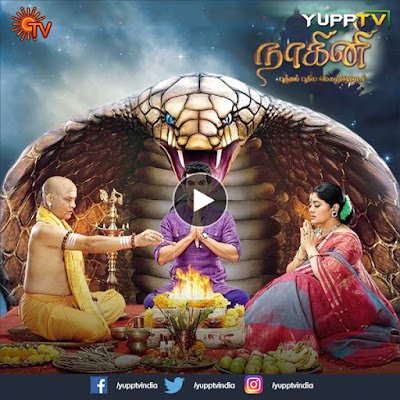 nagini tamil tv serial nagini tamil tv serial