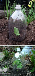 greenhouse plastic mini bottle build
