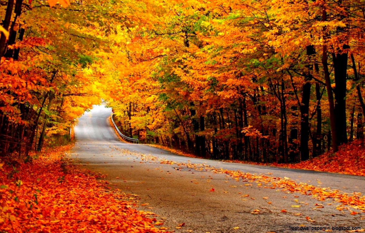 Autumn Wallpaper   Autumn Wallpaper 35867710   Fanpop