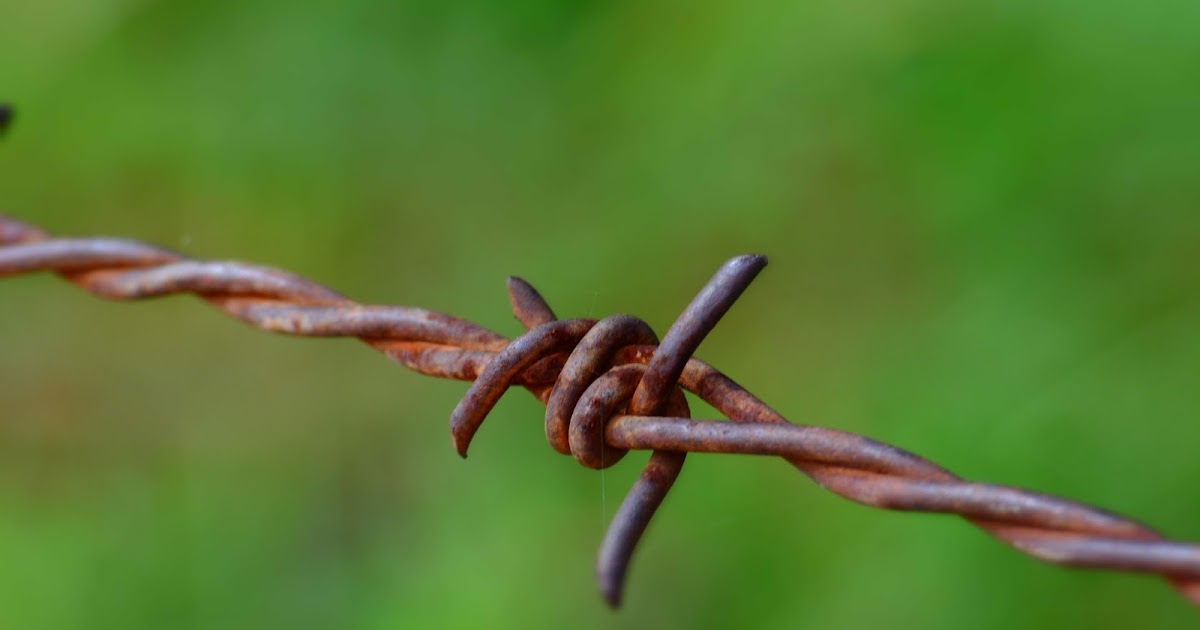 Barb Wire