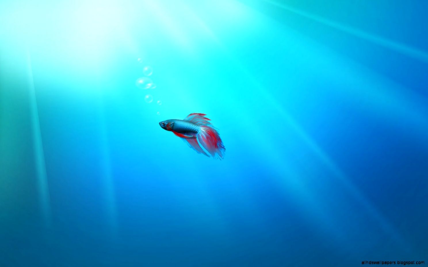 Microsoft Windows Phone 81 Developer Preview   Free Download Software