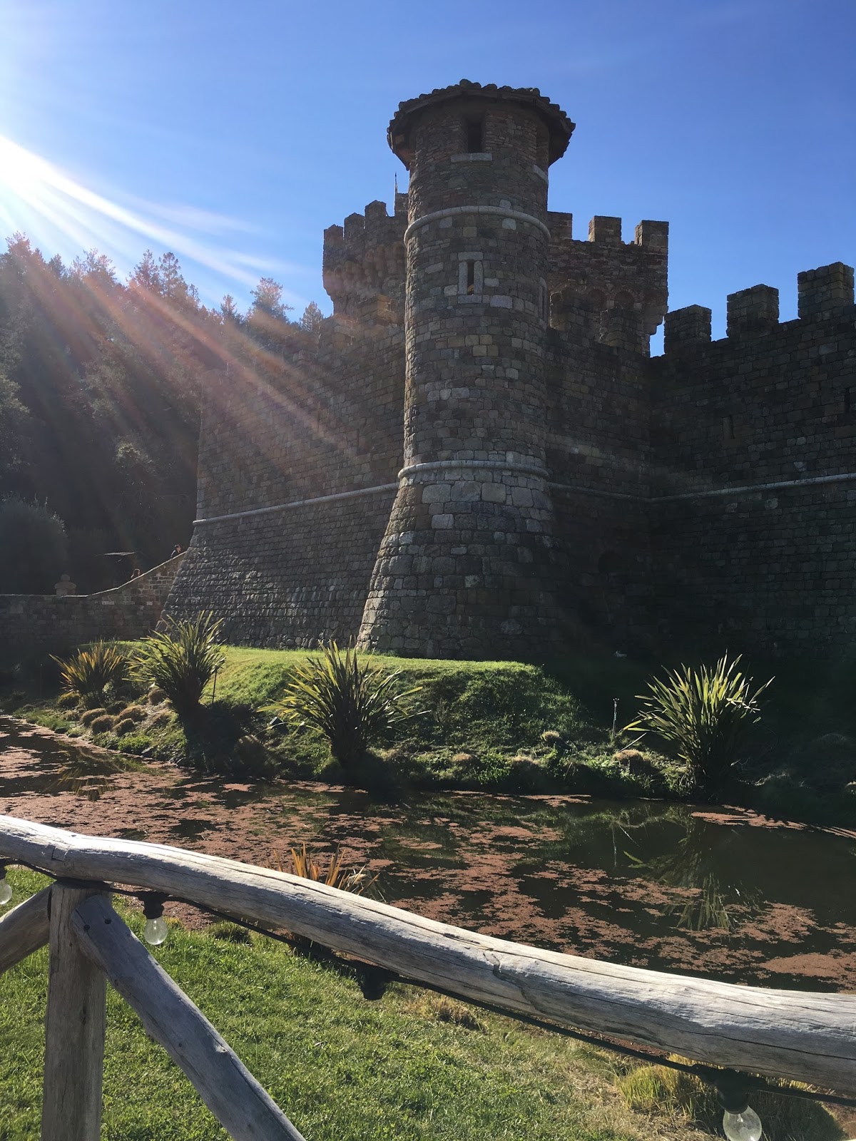 Napa Valley Wine Tasting : Castello di Amorosa | Chow Down USA