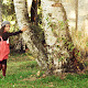Loading...