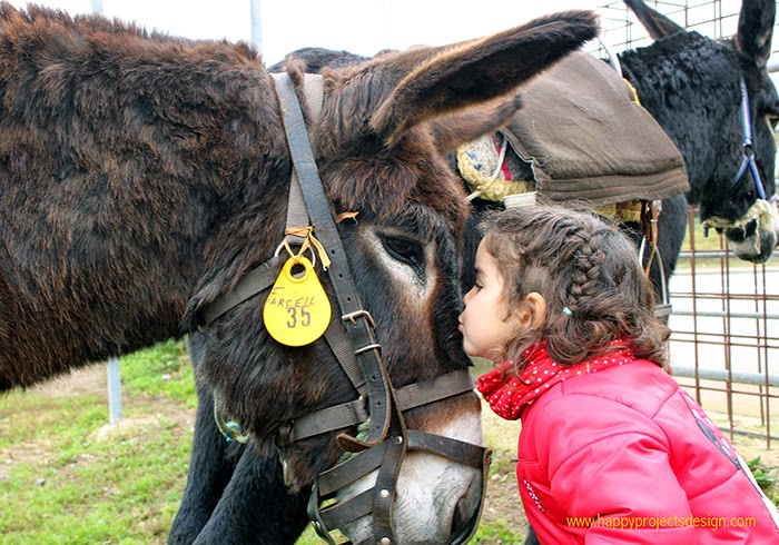 Parc de la pedra Tosca en burro