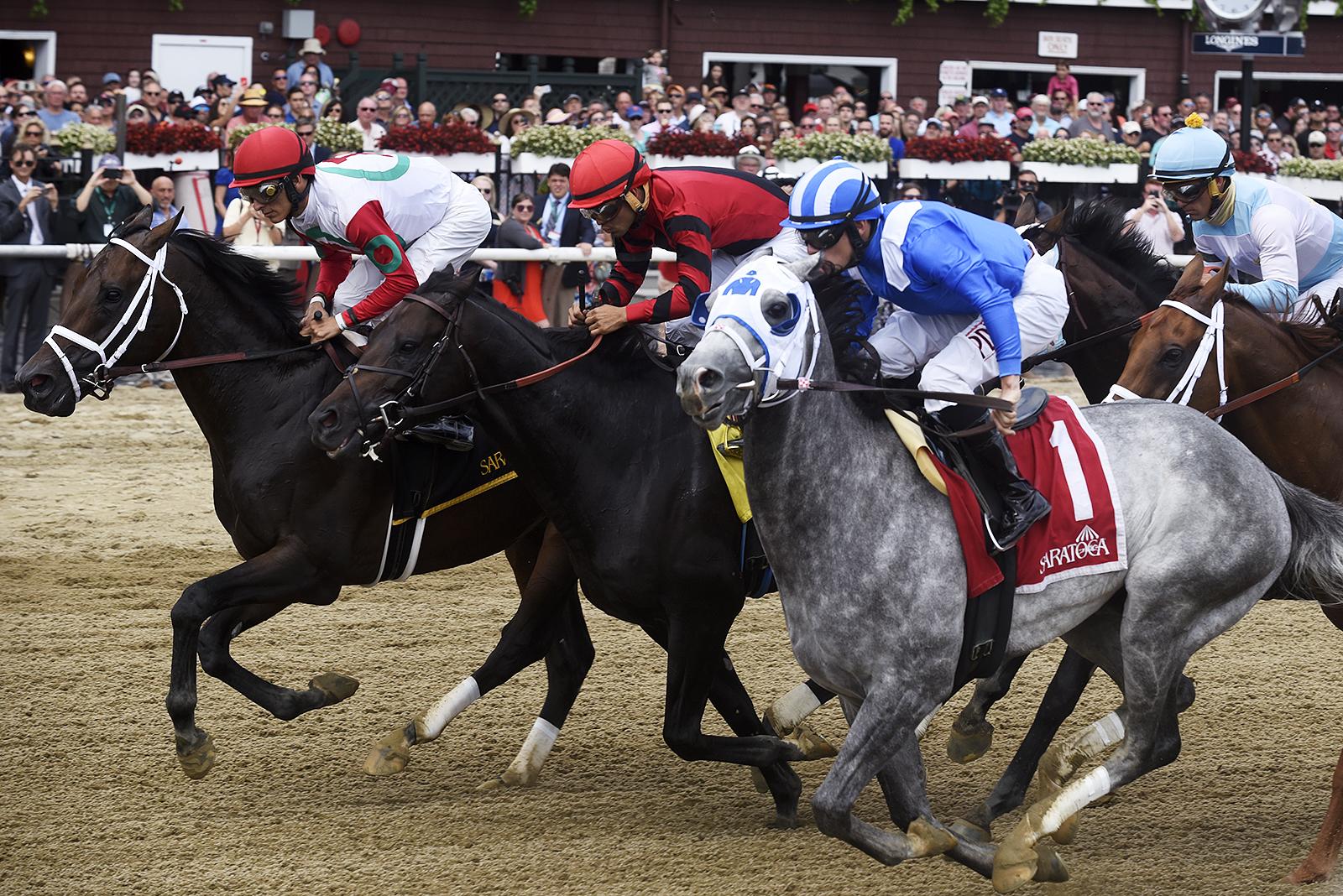 ThoroFan Blog Handicapper's Corner Woodward Stakes (G1)