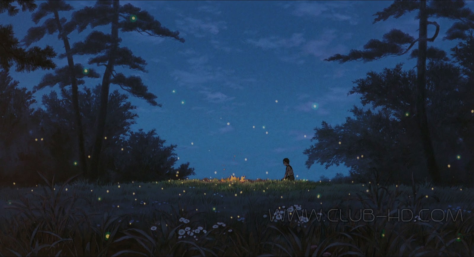 Grave_of_the_Fireflies_CAPTURA-8.jpg