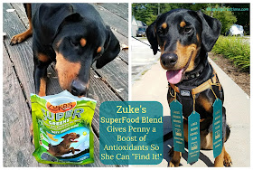 zukes dog treats nosework canine scent work