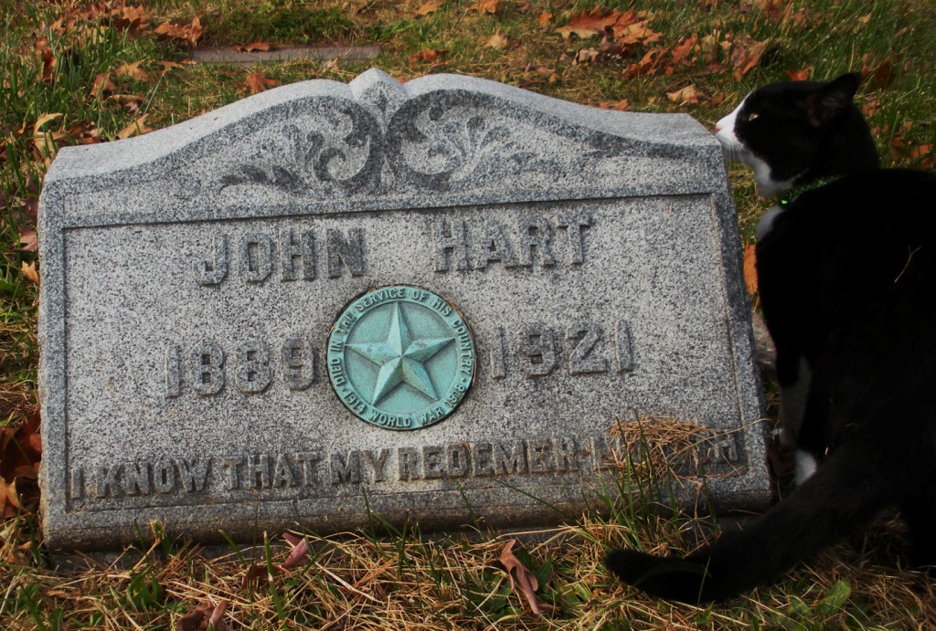 Engraved Stars Divine Guidance and Proof of Patriotism