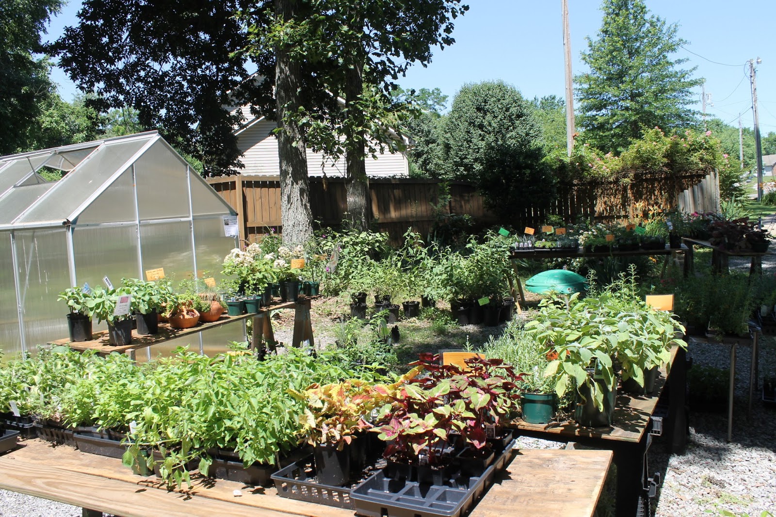 Gardening Tips for Small Spaces My Backyard Nursery