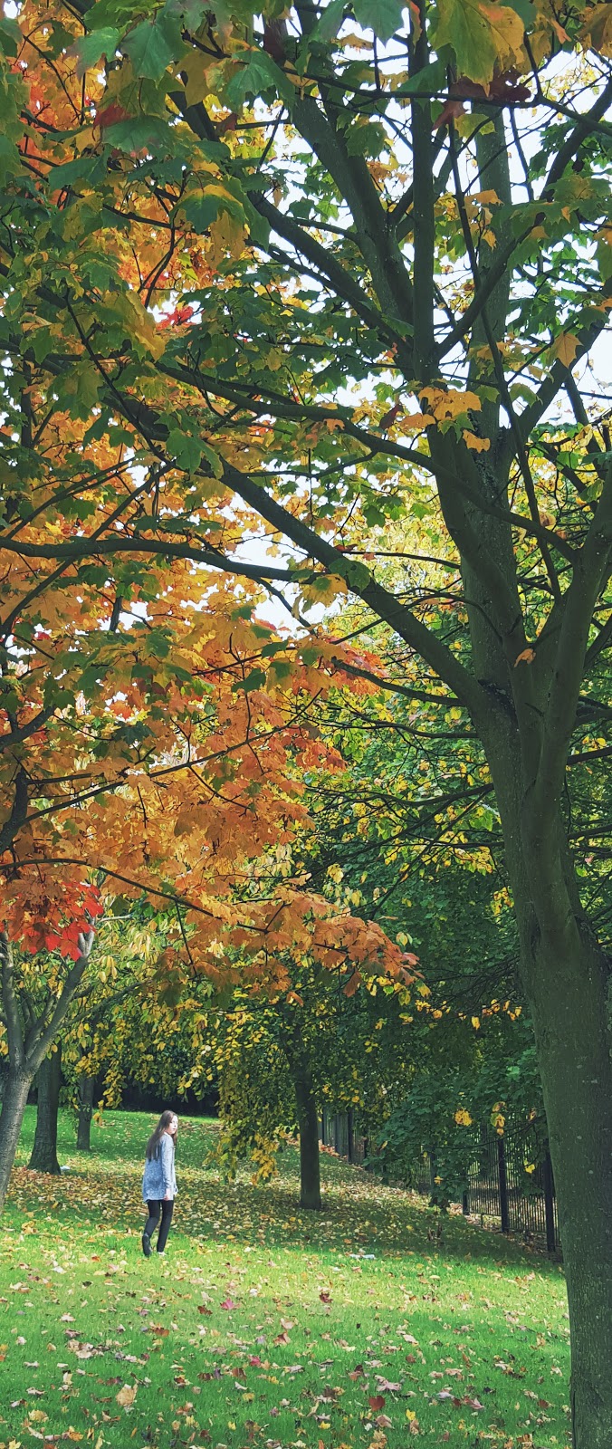 Autumn Fun And Kicking Some Leaves Seasonal photos