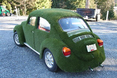 Car Covered with Grass