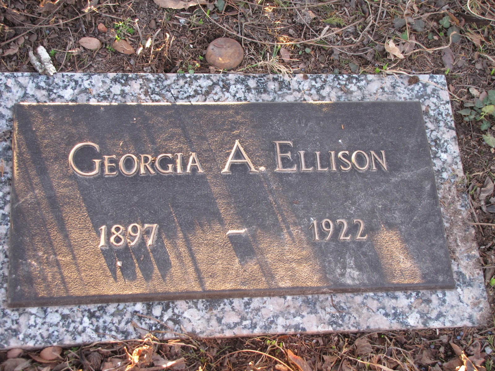 Cemeteries of Baxter County, AR Ellison Family Cemetery near Missouri