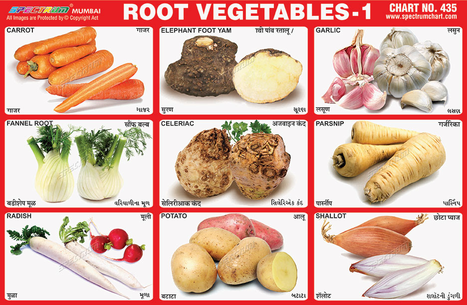 Stem Vegetables Chart