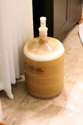 That is what a 100% Lacto fermentation looks like 24 hours in. That is what a 100% Lacto fermentation looks like 24 hours in.