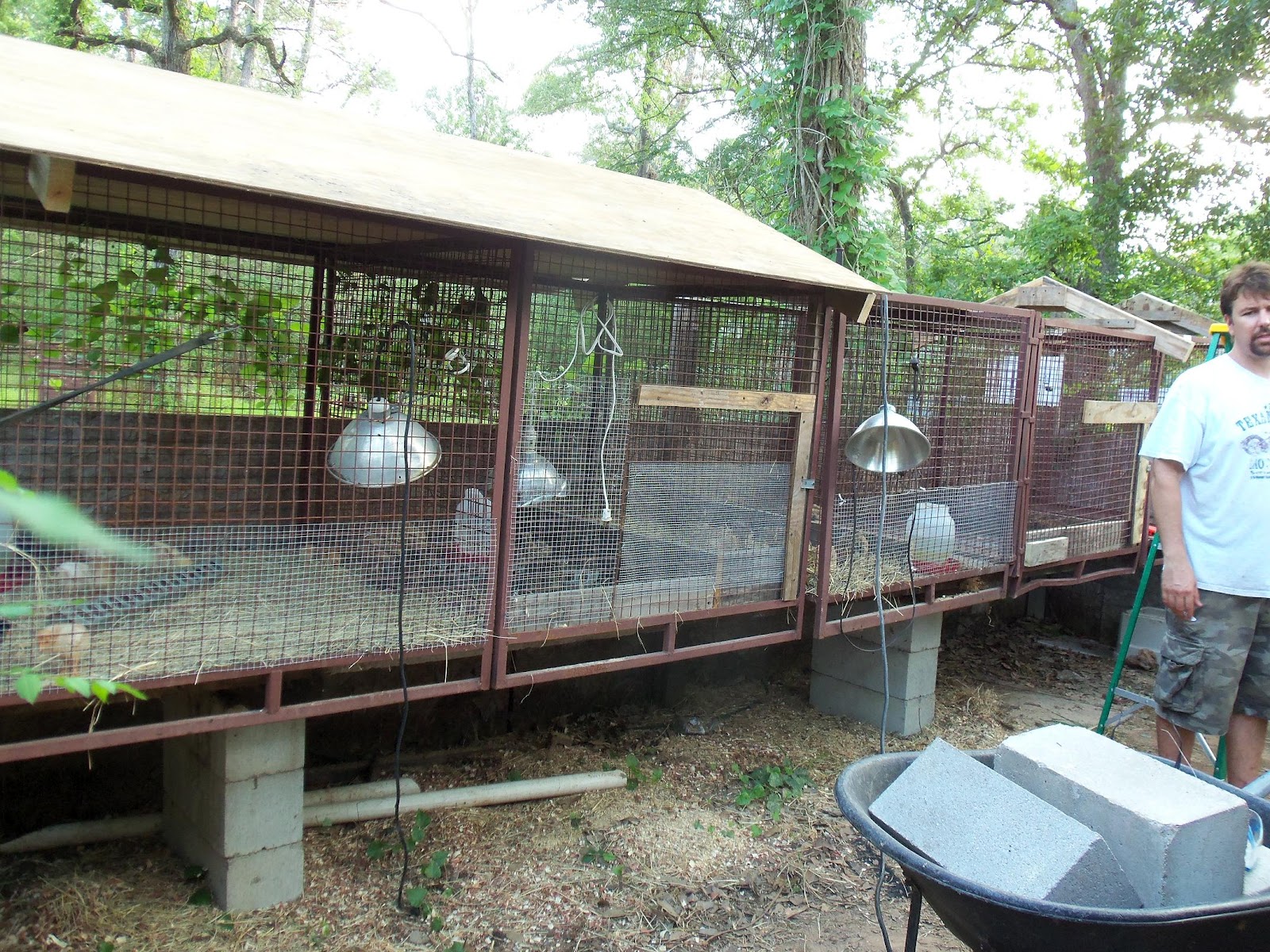 Growth in God: Weekend Projects-Cages