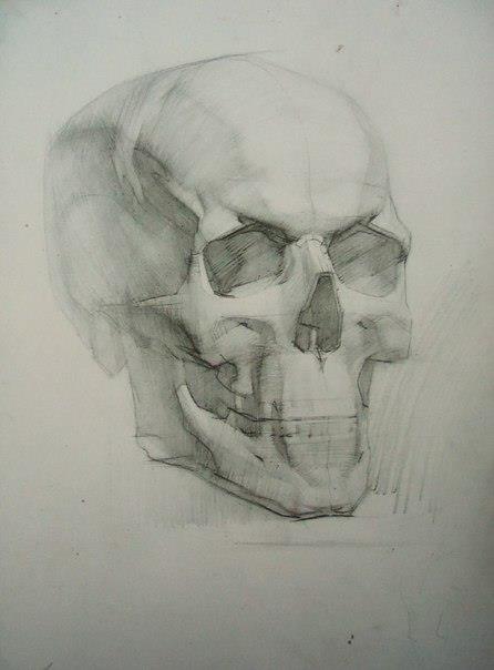 Sketch Anatomy رسم الجمجمه تشريح