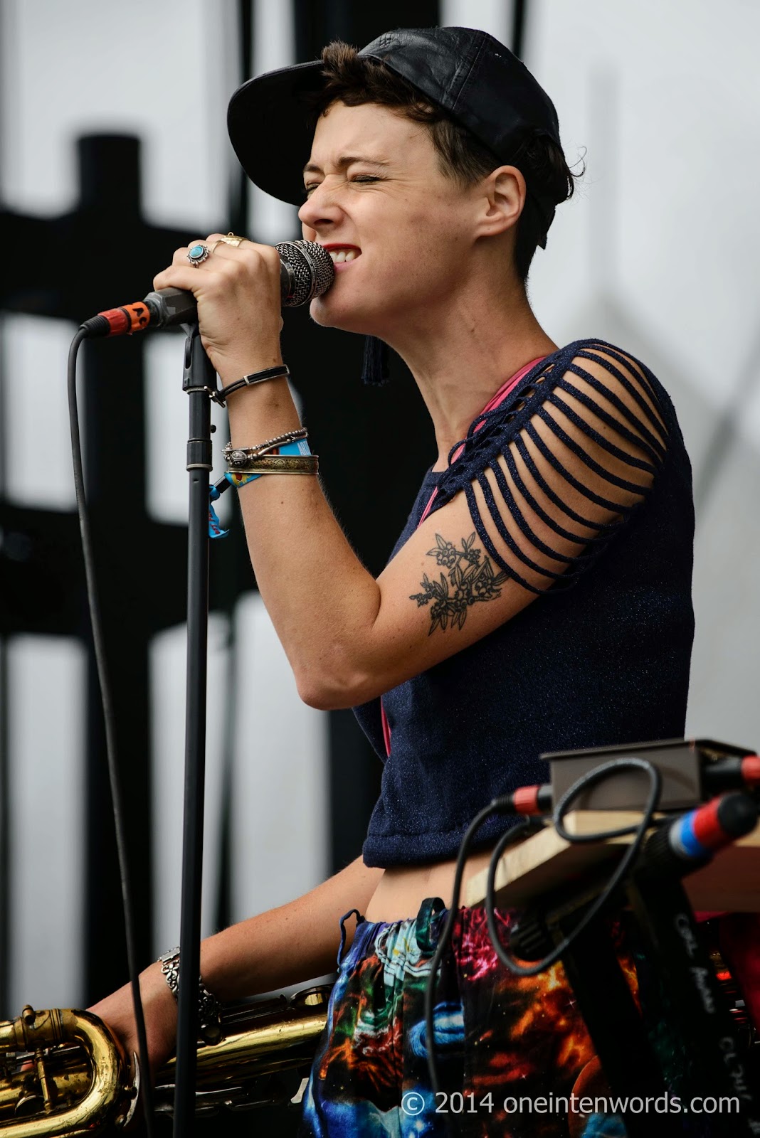 one in ten words Riot Fest 2014 Day 1 Band 2 Rubblebucket