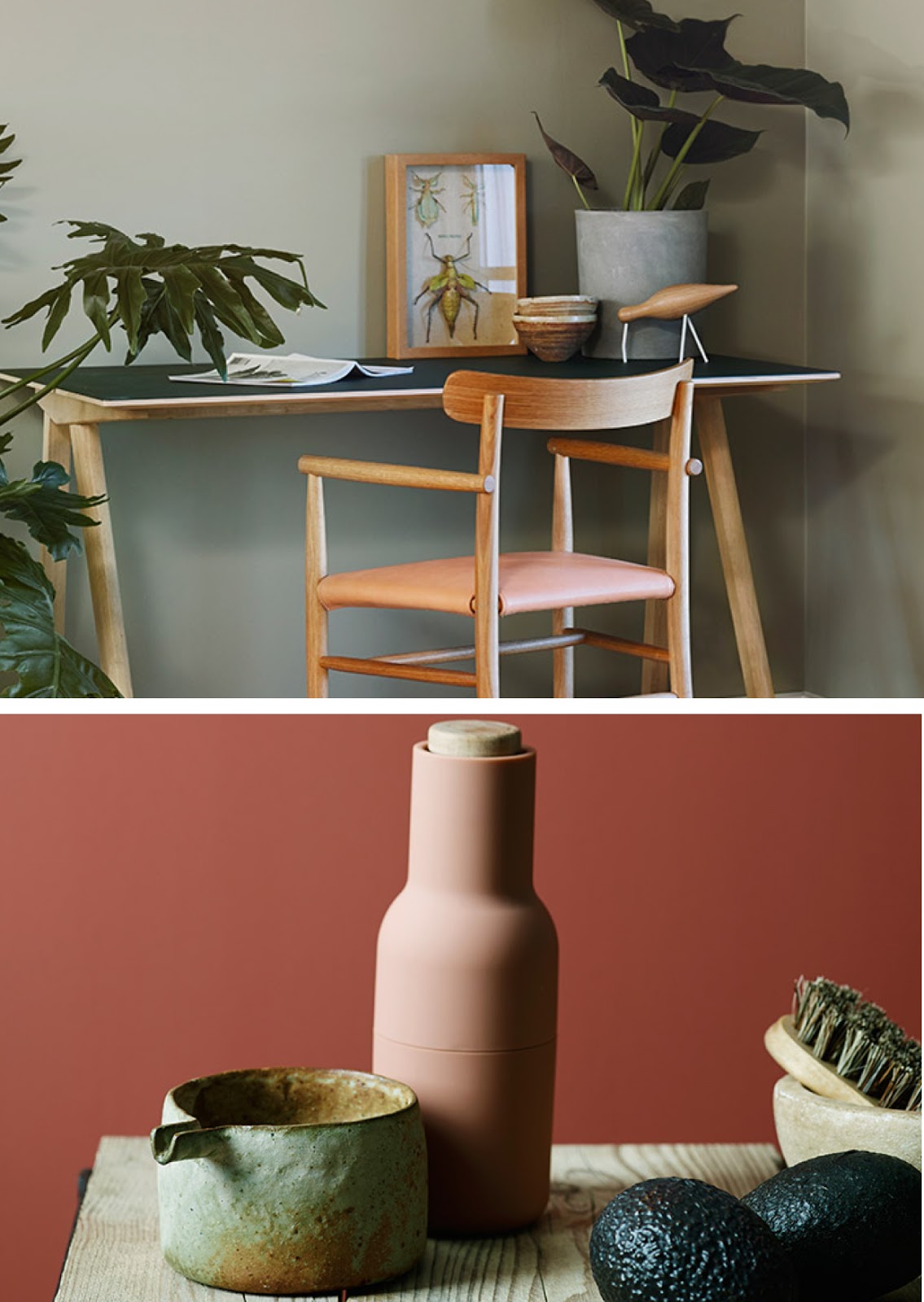 Tendencia Los colores de la Tierra