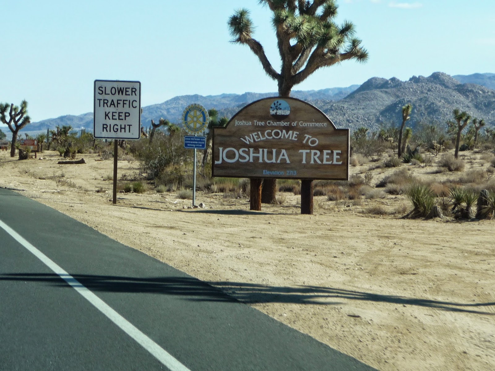 Closet Nomads Joshua Tree National Forest