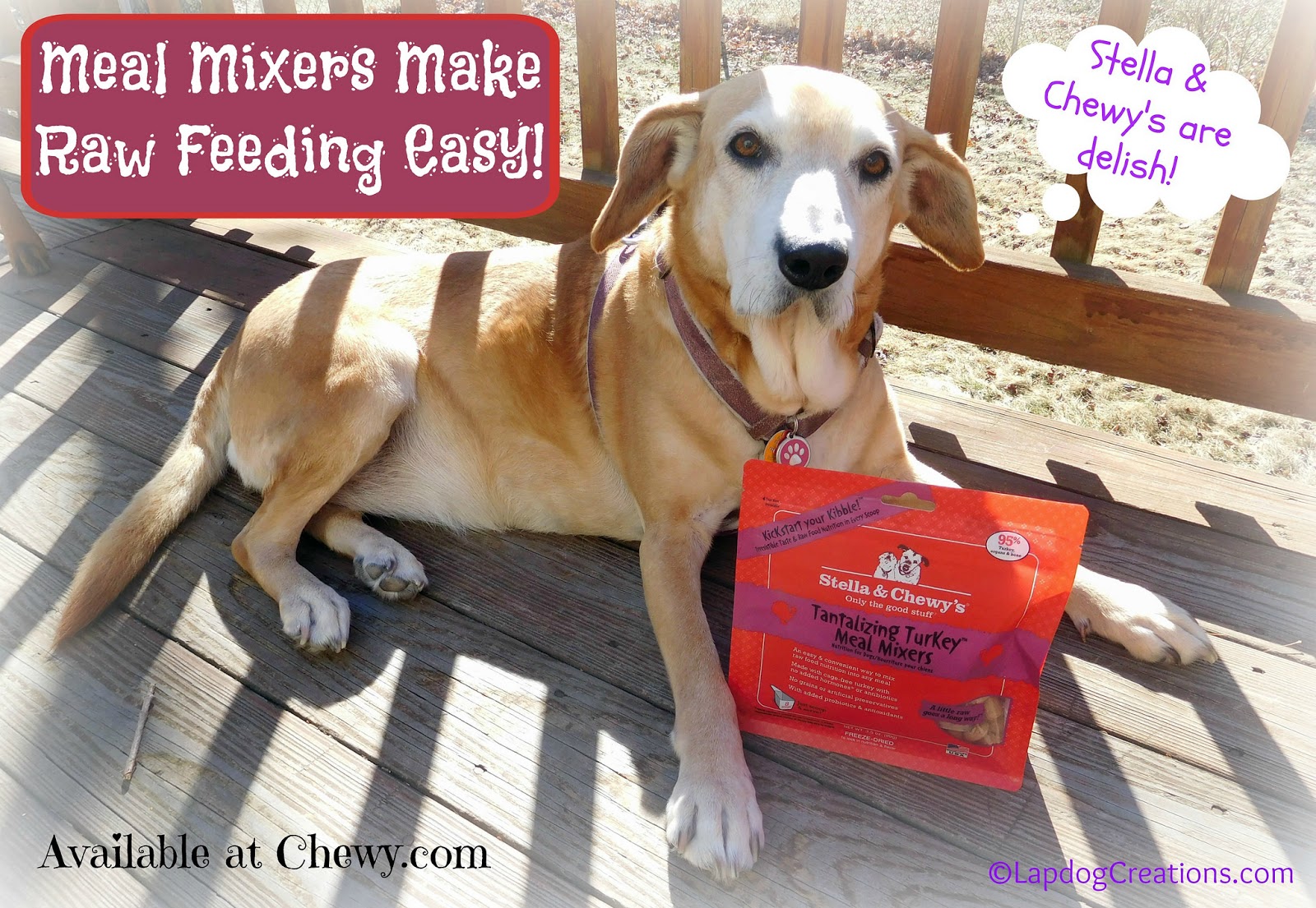 Lapdog Creations Stella & Chewy's Meal Mixers Make Raw Feeding Easy 