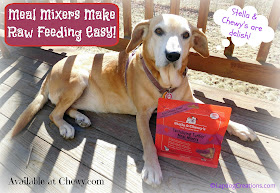 Stella & Chewy's Meal Mixers make raw feeding easy and convenient! #dogfood #rawdogfood #Chewy #ChewyInfluencer #LapdogCreations ©LapdogCreations