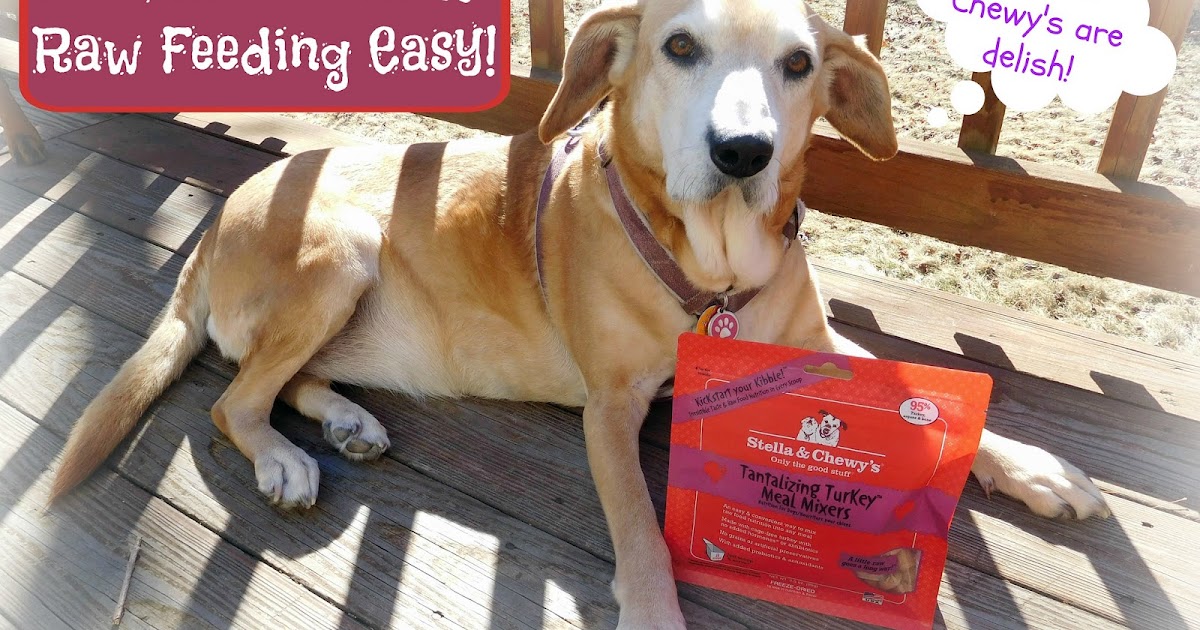 Lapdog Creations Stella & Chewy's Meal Mixers Make Raw Feeding Easy 