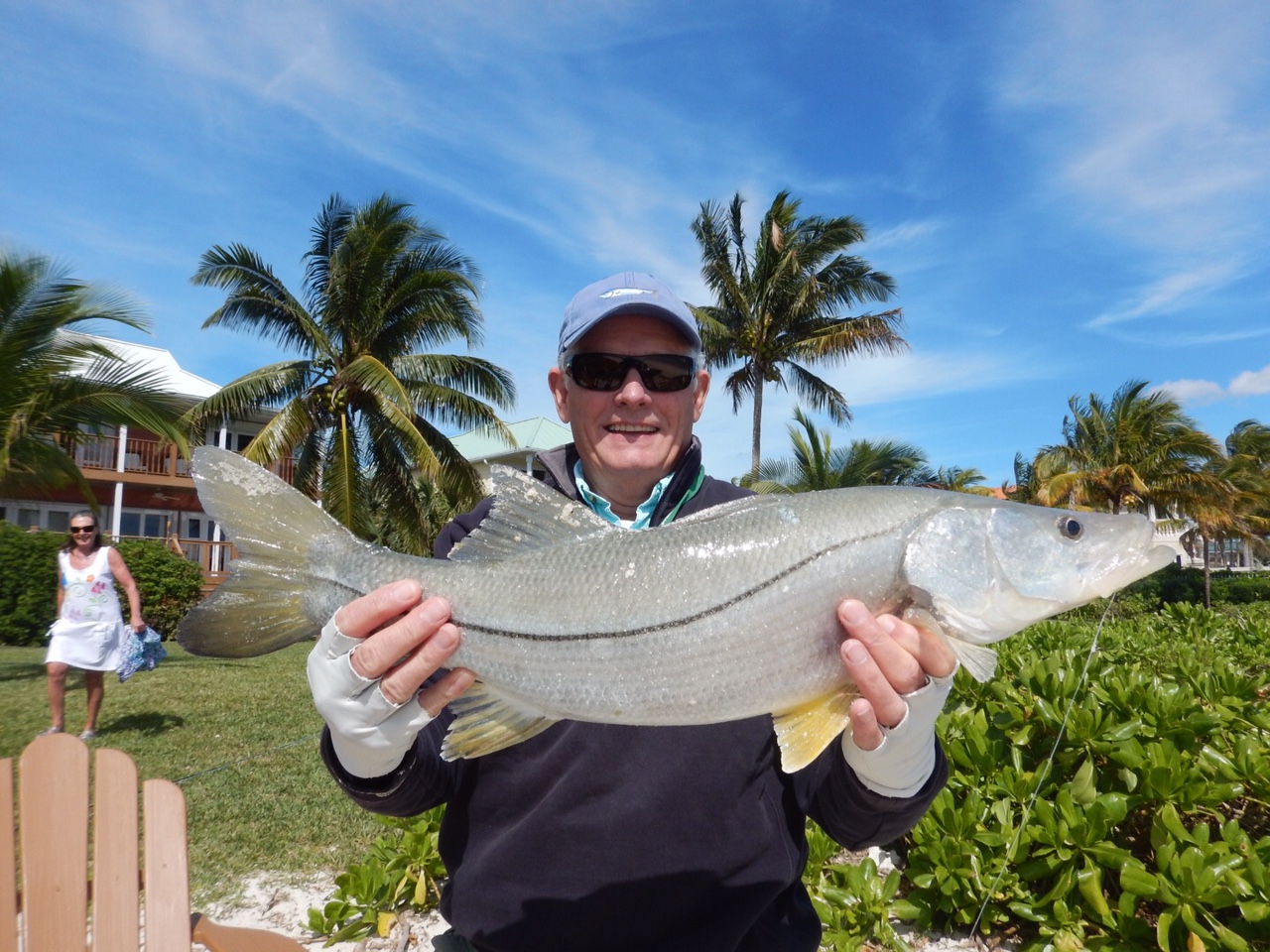 Snook off Shoreline Shoreline Bahamas News