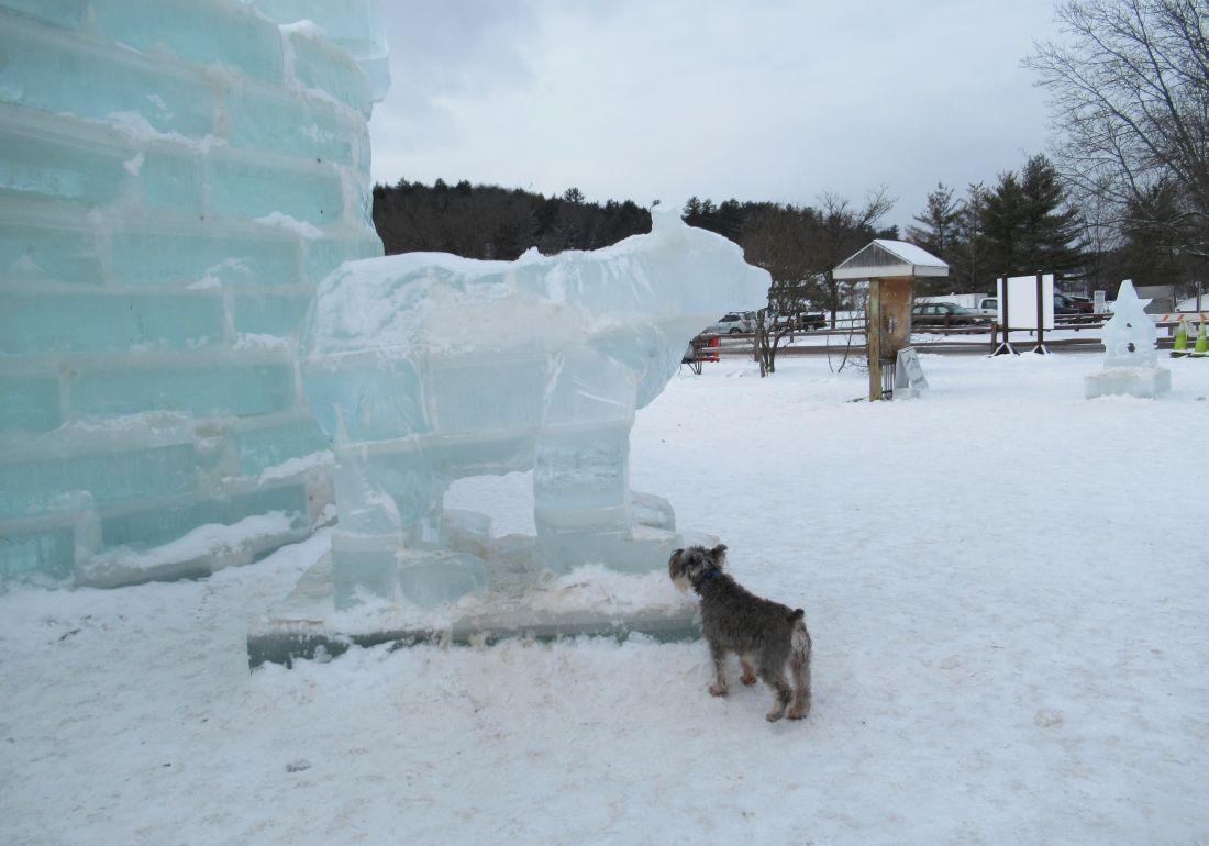 Windswept Adventure 2018 Saranac Lake Ice Palace
