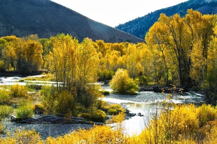 Stueby s Outdoor Journal Fall colors are popping Stueby s Outdoor Journal Fall colors are popping