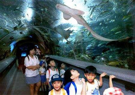 underwater world singapore