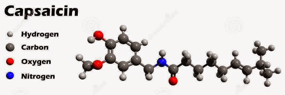 W Apa Pengertian Rumus Kimia Manfaat Capsaicin Sains