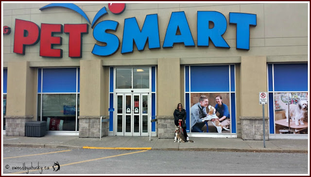 Shopping for dog food at petsmart