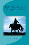Christopher's Trail, sequel to The Cattle King