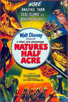 natures half acre