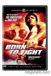  Sinh Ra Để Chiến - Born to Fight (2004) 