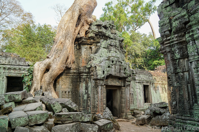 Ta Phrom - Angkor - Cambodge