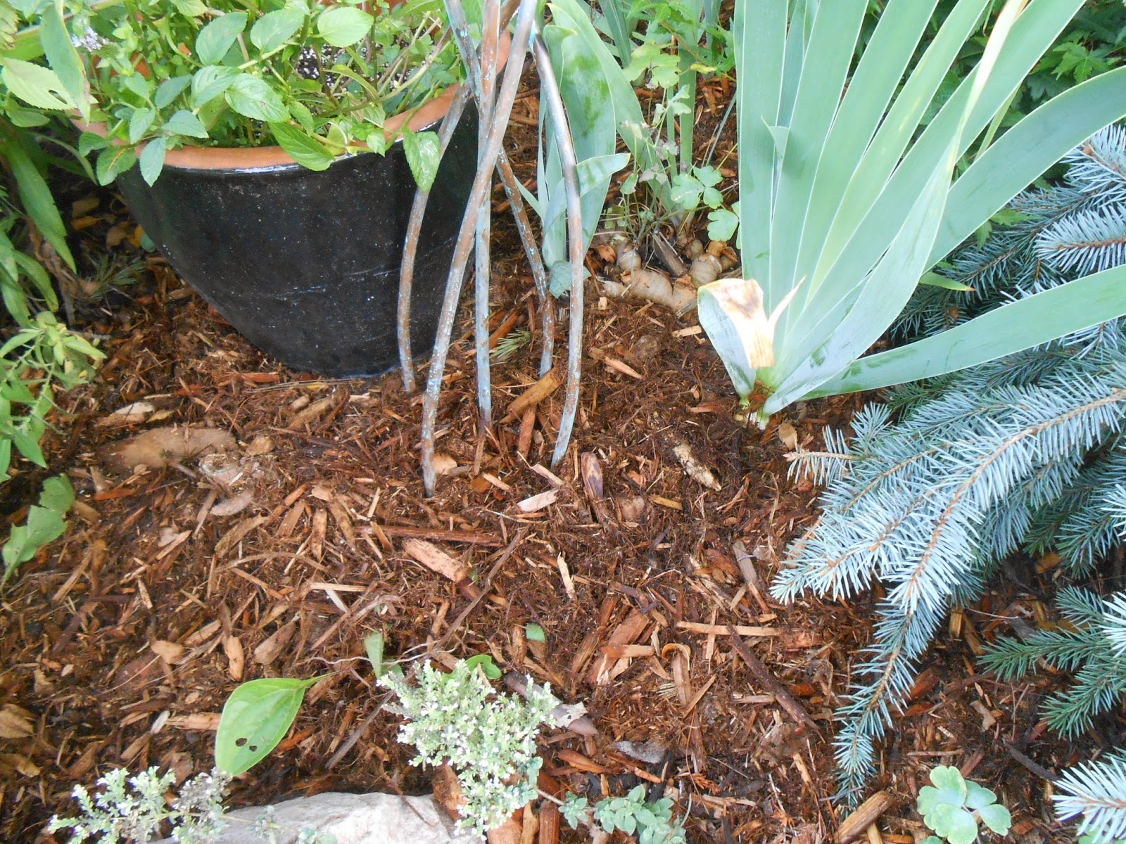 Sproutsandstuff DIY Copper Garden Art from Copper Tubing