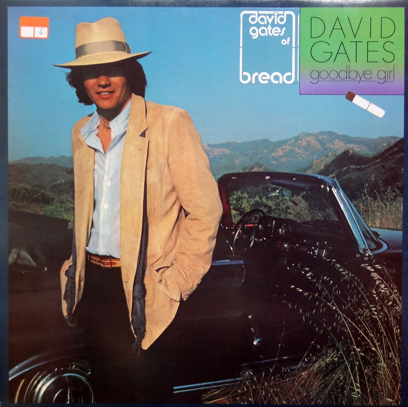 Goodbye Girl (Cover Version of David gates The Bread) JN Creative Entertainment