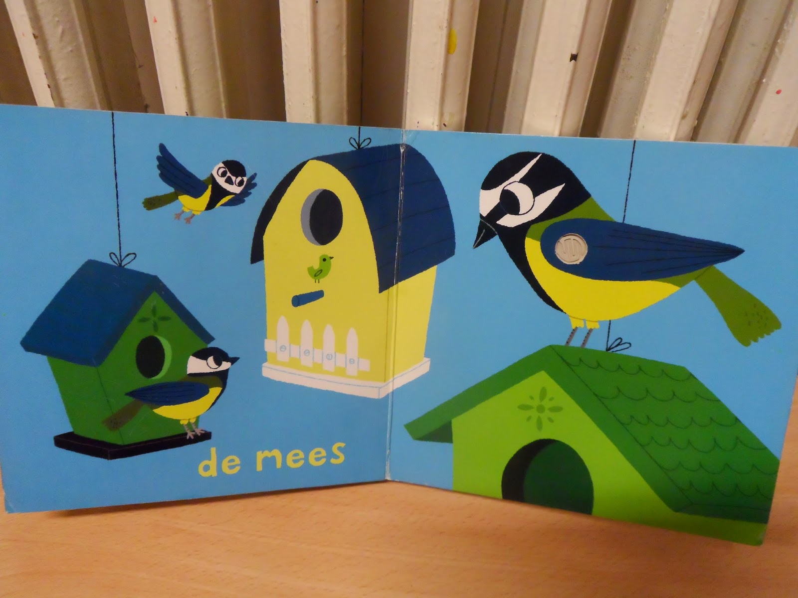 1ste kleuterklas C - Juf Natalie: VOGELS!